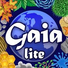 Activities of Gaia Lite