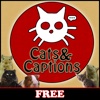 CatsAndCaptions Free