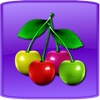 Fruit Master Lite