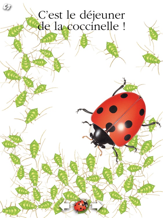 La coccinelle screenshot-3