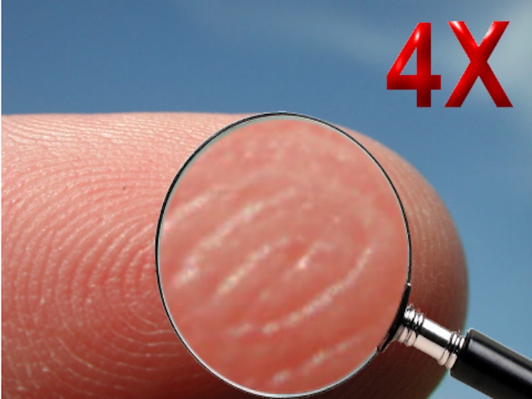 32X Magnifying Glass HD