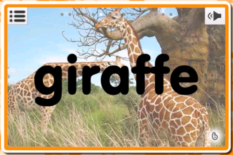 Flash Cards English Pro screenshot-3