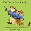 Peter Rabbit, a PicPocket Book