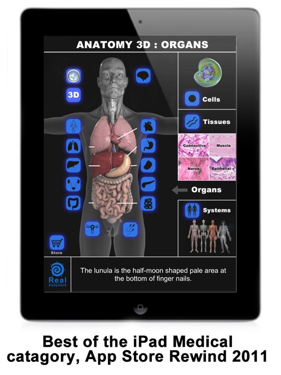 Anatomy 3D: Organs