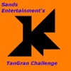 TanGram Challenge