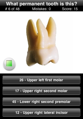 Animated Tooth Quiz
