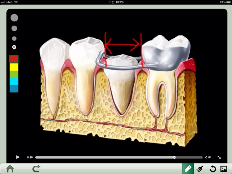 Dental iClinic lite