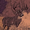 Deer Call 's - A  Hunters Best Friend