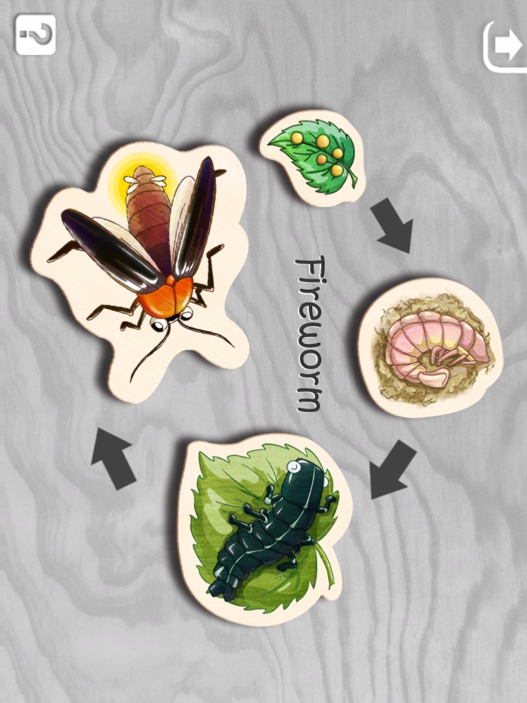 Insect Puzzle HD screenshot 2