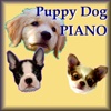 Puppy Dog Piano