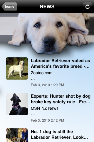 Labs - Labrador Retriever Fun screenshot 3