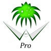 Saudi Gong Pro