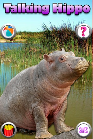 Talking Hippo(圖1)-速報App