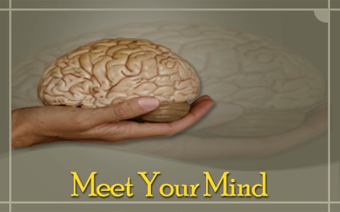 Meet Your Mind