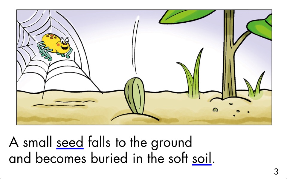 A Seed Grows - LAZ Reader [Level G–first grade] screenshot 2