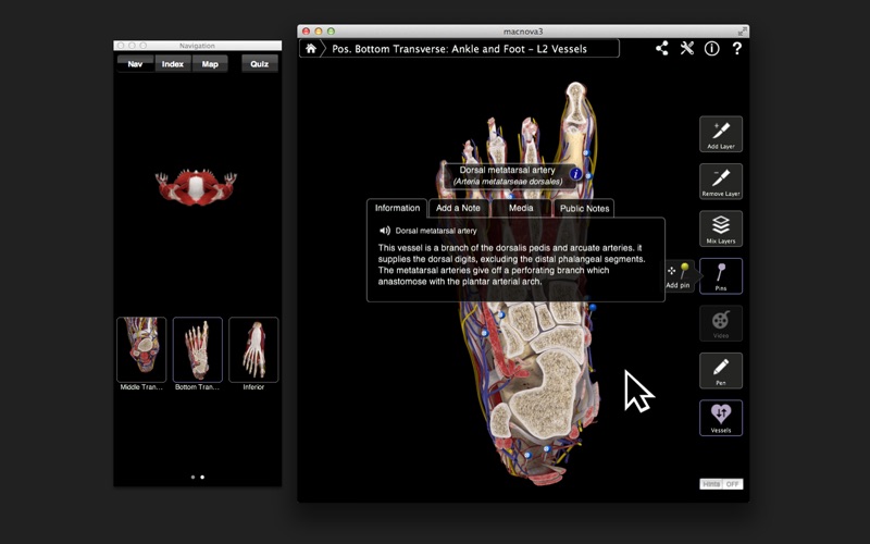 Ankle & Foot Pro III screenshot1