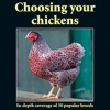 Practical Poultry - Choosing your chickens