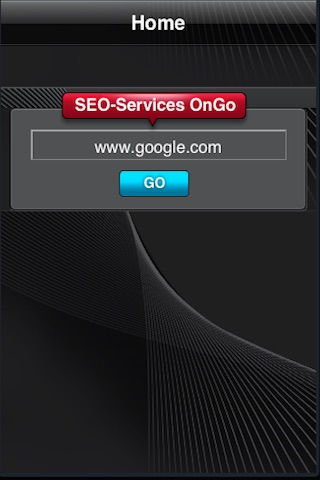 Seo Services Lite