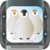 iPenguin Game HD