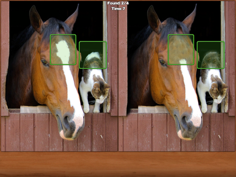 Horses Spot the Difference iPad app afbeelding 1