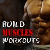 Build Muscle Workouts