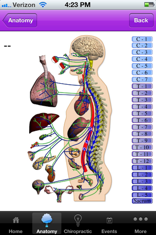 NeuropatholatorApp screenshot 2