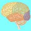 NIH Stroke Scale