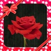 Gift a Rose to Someone You Love!