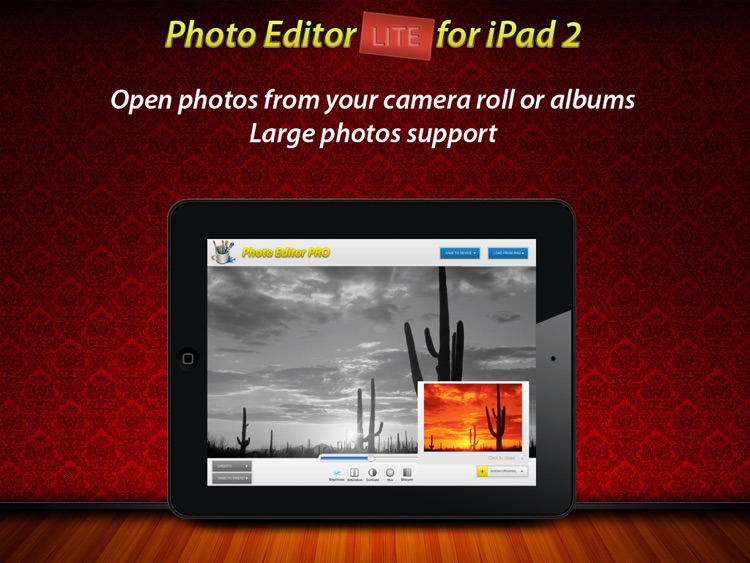 Photo Editor Lite for iPad 2