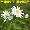 Paint Shop