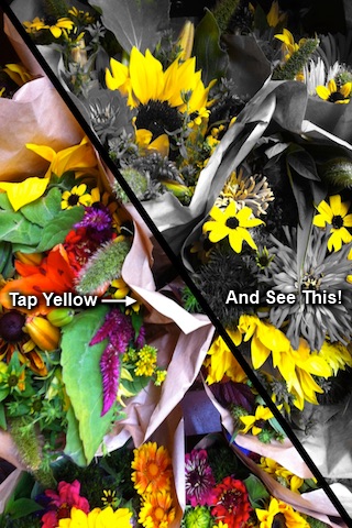 ChromaCam Free screenshot-3