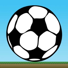 Activities of Kick-ups