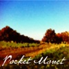 Pocket Monet