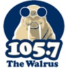 SD WALRUS