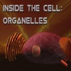 Inside the Cell: Organelles