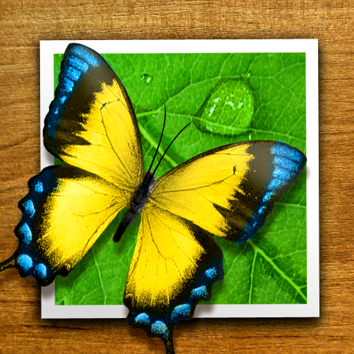 Perfect Photo App Icon