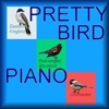 Pretty Bird Piano