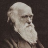 Charles Darwin Collection (Voyage of Beagle,Origin of Species, Descent of Man)