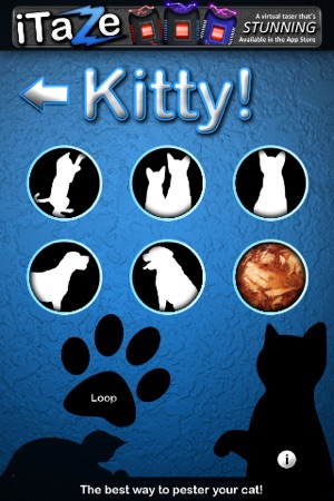 Kitty! Annoy your cat!(圖2)-速報App