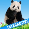 Animals’ world - Pictures of animals in high definitiion, sounds and interactive features
