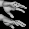 360° Artist's Reference - Male Hand