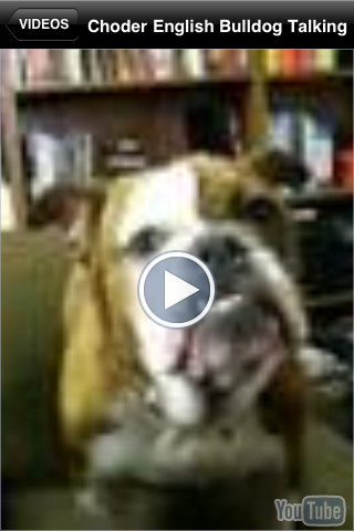 Bullies - English Bulldog Fun screenshot 2