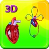 3D Human Heart & Blood Circulation Pro