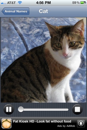 Animal Sounds HD Lite(圖2)-速報App