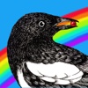 MCB - The Bird with the Rainbow Tail