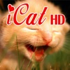 iCat(HD)