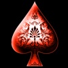 50 Card Tricks