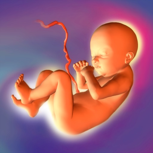 Baby Pregnancy Tracker (Lite)