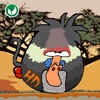 Angry Baboons HD