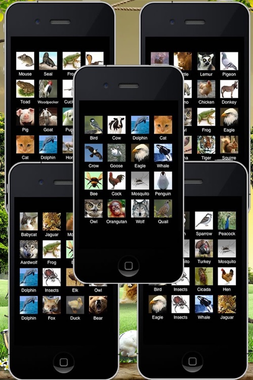 80 Animal Sounds in 1 App!